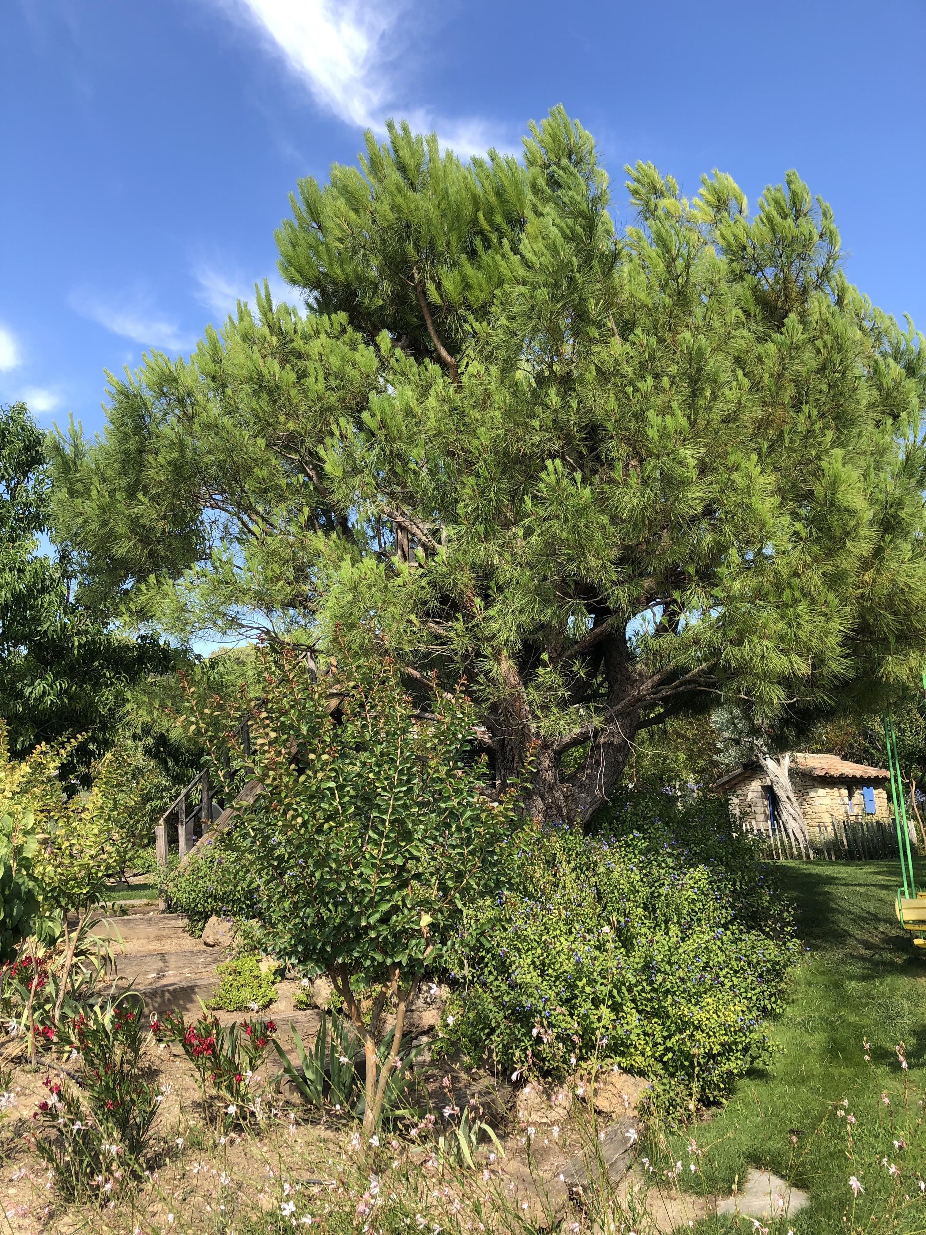 Inspiration méditerranéenne